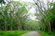 Cuc Phuong and Hoa Lu Excursion